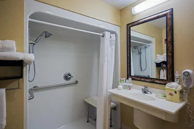 a bathroom with a shower and a sink and a mirror at Holiday Inn Express Hotel & Suites Youngstown North-Warren/Niles by IHG in Warren