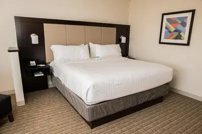 a bedroom with a large bed in a hotel room at Holiday Inn Express & Suites - Marietta by IHG in Marietta