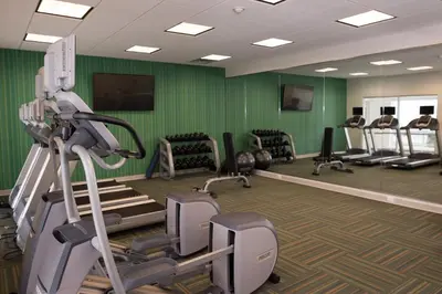 a gym with several tread machines and green walls at Holiday Inn Express & Suites - Marietta by IHG in Marietta