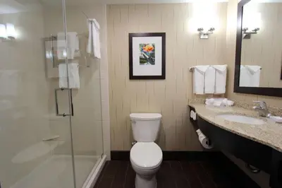 a bathroom with a toilet and a sink and a shower at Hilton Garden Inn Findlay in Findlay