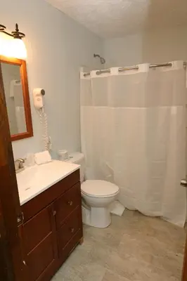 a bathroom with a toilet and a sink and a shower at Bird's Nest Resort in Put-in-Bay