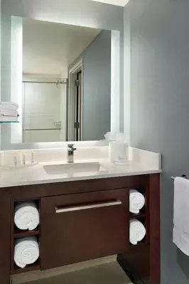 a bathroom with a sink and a large mirror at Residence Inn by Marriott Columbus OSU in Columbus