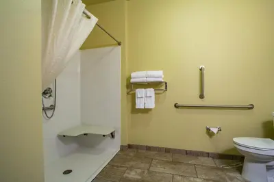 a bathroom with a toilet and a shower with towels at Cobblestone Hotel & Suites - Orrville in Orrville