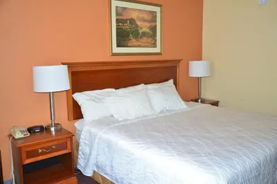 a bedroom with a bed with two lamps and a picture at Columbus Grand Hotel & Banquet Center in Columbus