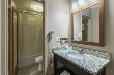 a bathroom with a sink and a toilet and a mirror at GreenRidge Hotel in Wickliffe