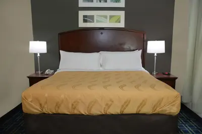 a bed in a hotel room with two lamps at Quality Inn & Suites Dublin in Dublin