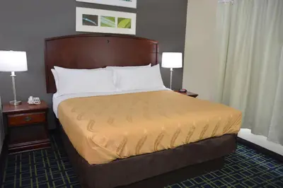 a large bed in a hotel room with two lamps at Quality Inn & Suites Dublin in Dublin