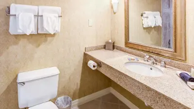 a bathroom with a sink and a toilet and a mirror at The Glidden House in Cleveland