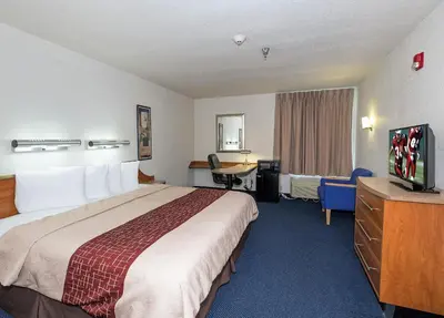 a hotel room with a large bed and a desk at Red Roof Inn Jackson, OH in Jackson