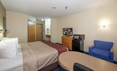 a hotel room with a bed and a blue chair at Red Roof Inn Jackson, OH in Jackson