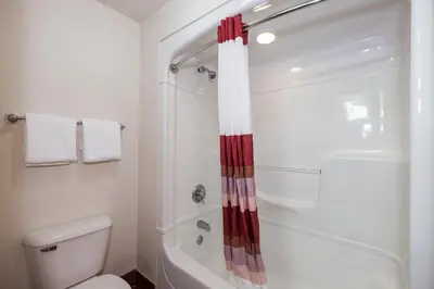 a white bathroom with a shower and a toilet at Red Roof Inn Jackson, OH in Jackson