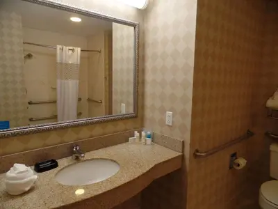 a bathroom with a sink and a mirror and a toilet at Hampton Inn Bowling Green in Bowling Green