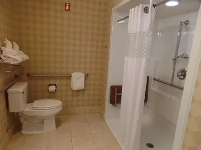 a bathroom with a toilet and a shower with a shower curtain at Hampton Inn Bowling Green in Bowling Green