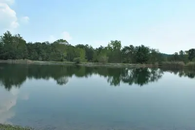 a large body of water with trees in the background at Wilmington Camping Resort in Wilmington