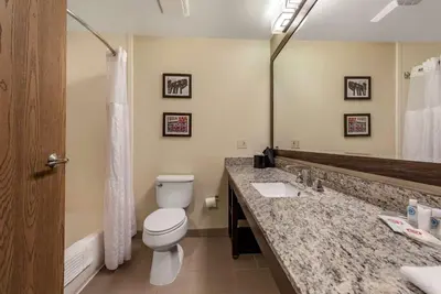 a bathroom with a toilet and a sink and a mirror at Comfort Suites Mason near Kings Island in Mason