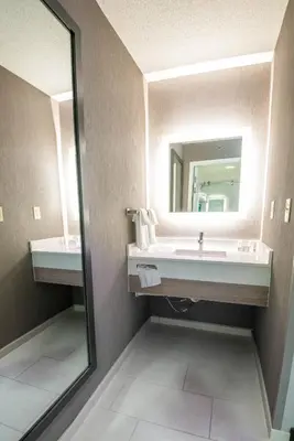 a bathroom with a sink and a mirror at SpringHill Suites Columbus Airport Gahanna in Gahanna