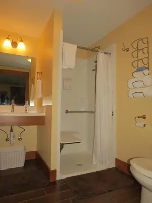 a bathroom with a shower and a sink and a toilet at Bodee's Bungalow Adults Only Couples Only Boutique Hotel in Put-in-Bay