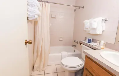 a bathroom with a toilet and a tub and a sink at General Butler State Resort Park in Carrollton