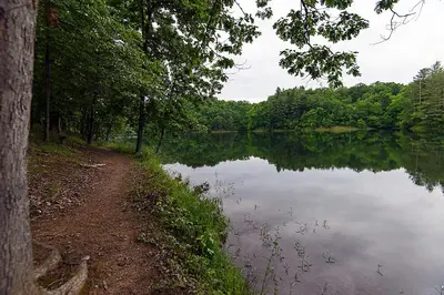 a path next to a body of water at Greenbo Lake State Resort Park in Argillite