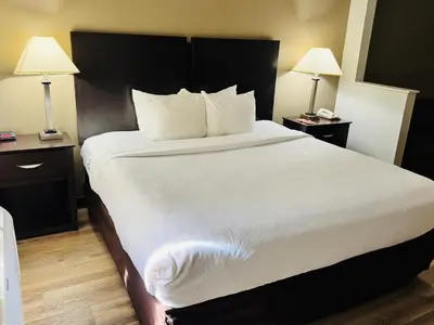 a large bed in a hotel room with two lamps at Econo Lodge Inn & Suites Monroe in Monroe