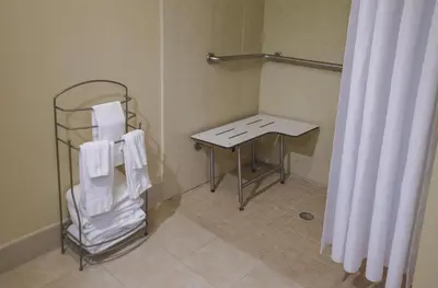 a bathroom with a table and a shower curtain at Hampton Inn & Suites Youngstown-Canfield in Canfield