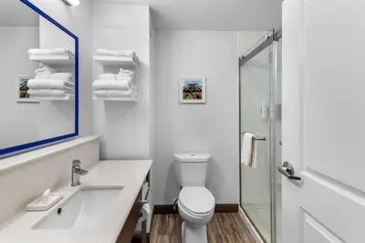 a bathroom with a toilet and a sink and a shower at Hampton Inn Dayton/Huber Heights in Huber Heights