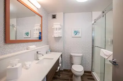 a bathroom with a toilet and a sink and a shower at Hampton Inn Dry Ridge in Dry Ridge