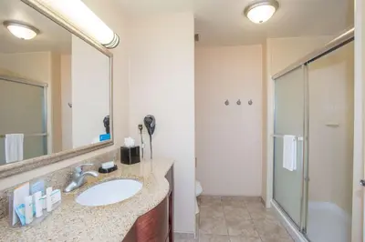 a bathroom with a sink and a shower at Hampton Inn & Suites Dayton-Airport in Englewood