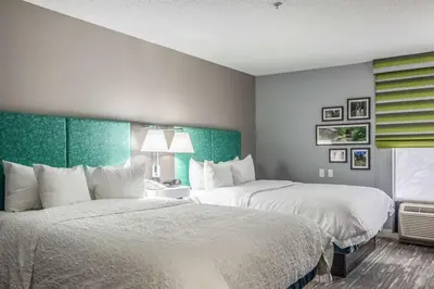 a hotel room with two beds and a window at Hampton Inn Youngstown-North in Youngstown
