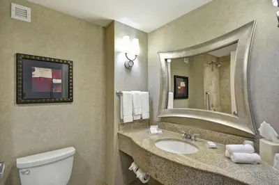 a bathroom with a toilet and a sink and a mirror at Hilton Garden Inn Toledo / Perrysburg in Perrysburg