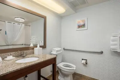 a bathroom with a toilet and a sink and a mirror at Hampton Inn Carrollton KY in Carrollton