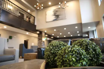 a large green bush sitting on a table in a lobby at Berlin Encore Hotel & Suites in Berlin