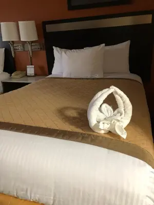 a bed with a swan decoration on it at Baymont by Wyndham Cincinnati Sharonville in Sharonville
