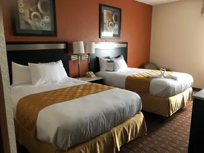 two beds in a hotel room with orange walls at Baymont by Wyndham Cincinnati Sharonville in Sharonville