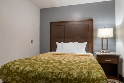 a hotel room with a bed and a lamp at Econo Lodge Shelbyville North in Shelbyville