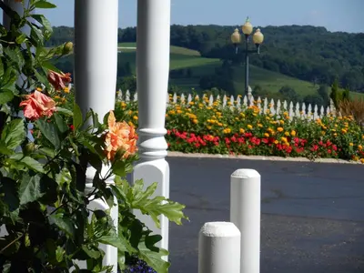 a white picket fence with flowers in the background at Carlisle Inn Walnut Creek in Walnut Creek