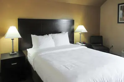 a large bed in a hotel room with two lamps at Quality Inn & Suites in Cincinnati