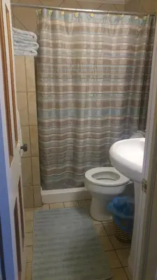 a bathroom with a shower curtain and a toilet at Aunt Jane's Guest House in Put-in-Bay