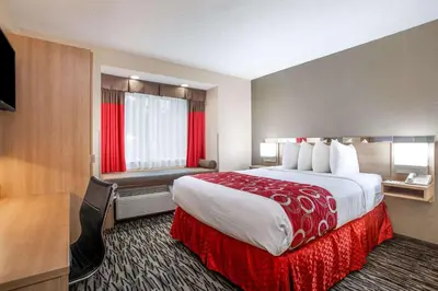 a hotel room with a large bed and a desk at Microtel Inn & Suites by Wyndham Charleston in Charleston