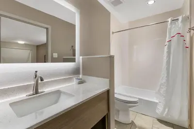 a bathroom with a sink and a toilet and a mirror at Red Roof Inn Georgetown, KY in Georgetown