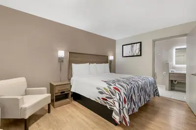 a hotel room with a bed and a chair at Red Roof Inn Georgetown, KY in Georgetown