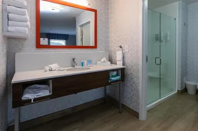 a bathroom with a sink and a mirror and a shower at Hampton Inn & Suites Wilder in Wilder