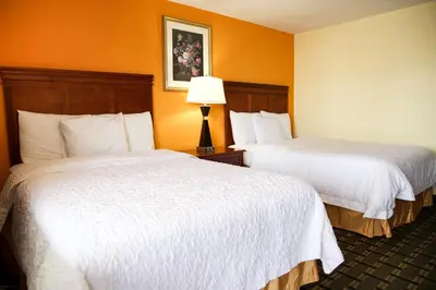 two beds in a hotel room with orange walls at Highlander Motel in Athens