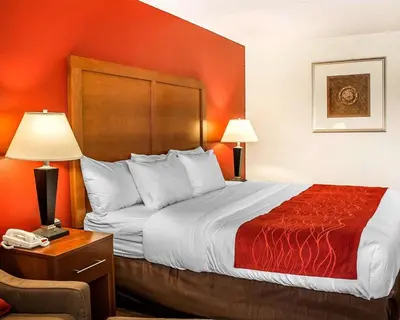 a hotel room with a large bed with a red wall at Quality Inn Lima Northeast in Lima