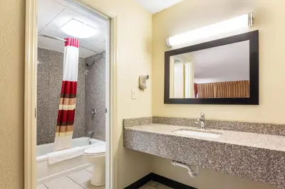 a bathroom with a sink and a toilet and a mirror at Red Roof Inn Cincinnati Airport–Florence/ Erlanger in Erlanger