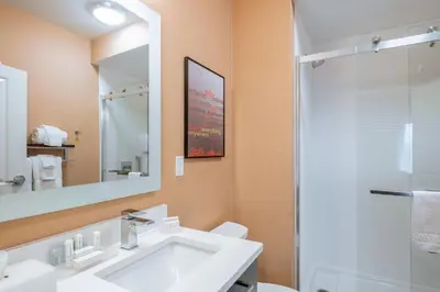 a bathroom with a white sink and a shower at TownePlace Suites by Marriott Toledo Oregon in Oregon