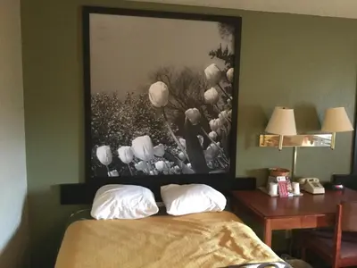 a bedroom with a picture of flowers on the wall at Super 8 by Wyndham Youngstown/Austintown in Youngstown