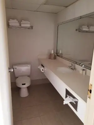 a bathroom with a sink and a toilet and a mirror at Bestway Inn - Madison in Madison