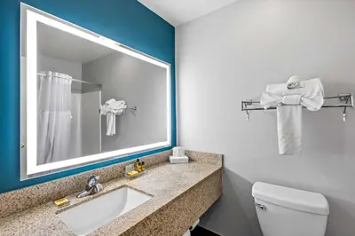 a bathroom with a sink and a mirror and a toilet at Best Western Fort Wayne Inn & Suites North in Fort Wayne