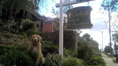 a dog sitting next to a sign in front of a house at Gaslight Bed & Breakfast in Cincinnati